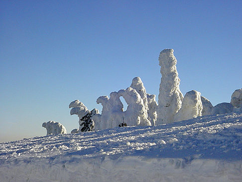 Brockenwanderung Fotos