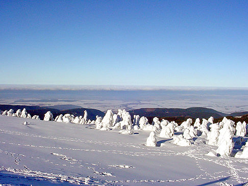 Brockenwanderung Foto 