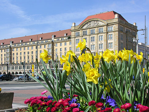 Fotos Altmarkt | Dresden