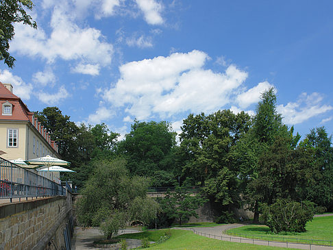 Bärenzwinger Foto 