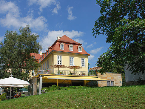 Bärenzwinger Foto 