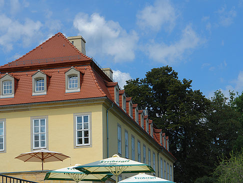 Foto Bärenzwinger