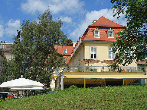 Fotos Bärenzwinger | Dresden