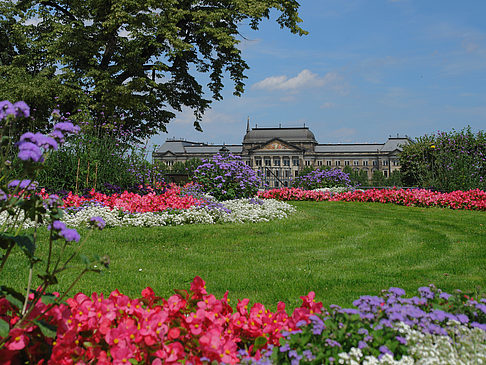 Foto Brühlscher Garten - Dresden