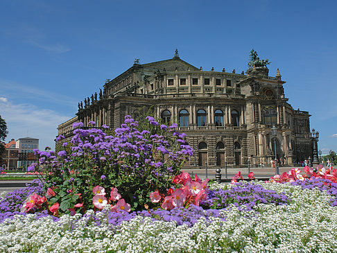 Fotos Semperoper mit Blumen