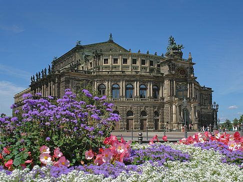 Fotos Semperoper mit Blumen | Dresden