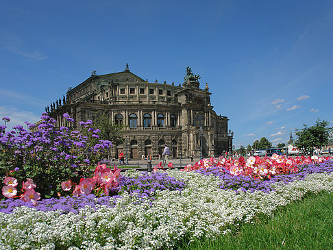 Fotos Semperoper mit Blumen