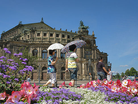 Fotos Semperoper mit Blumen | Dresden