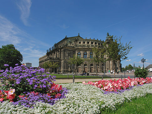 Fotos Semperoper mit Blumen