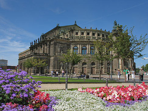 Foto Semperoper mit Blumen