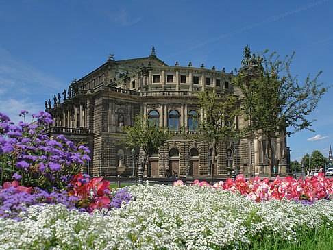 Fotos Semperoper mit Blumen