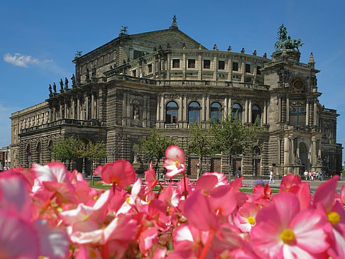 Foto Semperoper mit Blumen