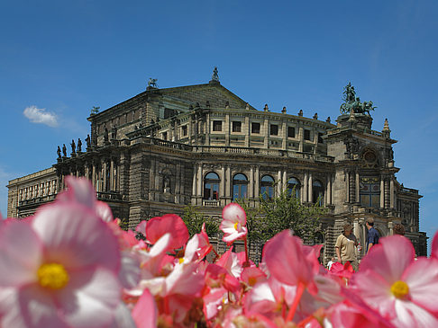 Foto Semperoper mit Blumen