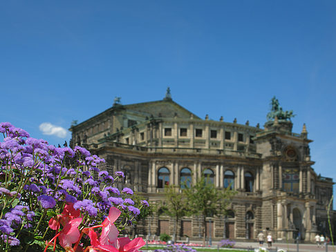 Foto Semperoper mit Blumen - Dresden