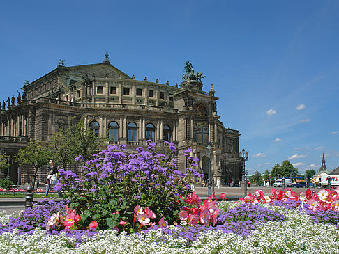 Fotos Semperoper mit Blumen | Dresden