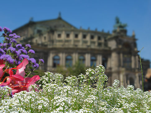 Semperoper mit Blumen Fotos