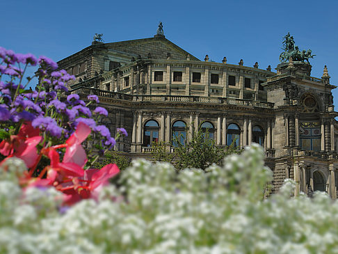 Foto Semperoper mit Blumen - Dresden