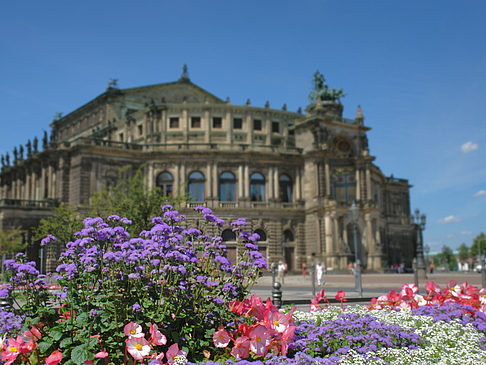 Fotos Semperoper mit Blumen